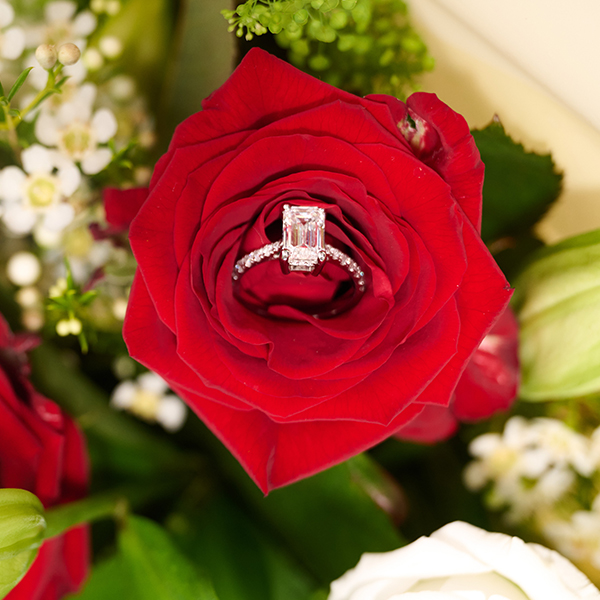 the Proposal
